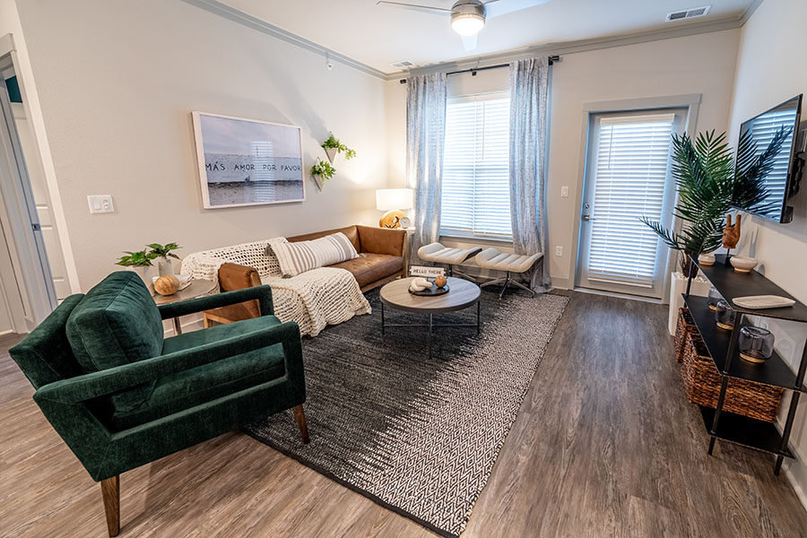 Apartment living room with comfy seating and plant life.